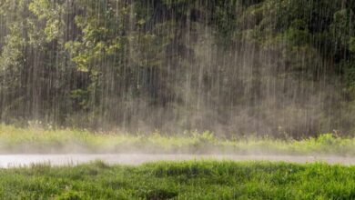 Frente fria muda o tempo em SC e traz risco de temporais e alagamentos