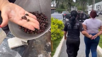 Mais de 1.200 pacotes de drogas são encontrados escondidos em carne e feijão; dois visitantes acabam presos em presídio