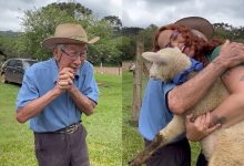 Aos 93 anos, idoso ganha casal de carneiros e se emociona com presente
