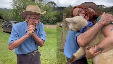 Aos 93 anos, idoso ganha casal de carneiros e se emociona com presente