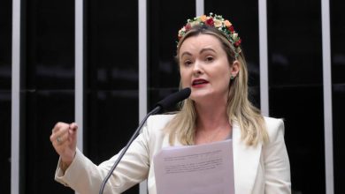 Mais de 500 mil votos: Júlia Zanatta bate recorde histórico para deputada federal em SC