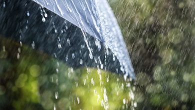 SC entra em alerta para temporais nesta quinta-feira; veja a previsão para o Vale do Itajaí