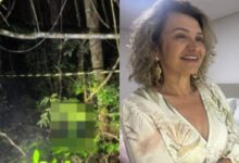 Professora é encontrada morta em área de mata e suspeito confessa crime em SC