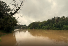 Rio Benedito dispara em Timbó e entra em nível de alerta; chuva mantém preocupação na região