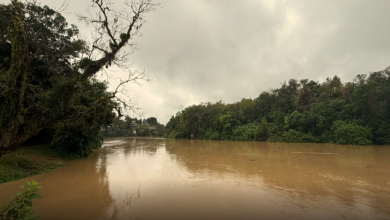 Rio Benedito dispara em Timbó e entra em nível de alerta; chuva mantém preocupação na região