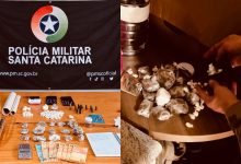 Operação da ROCAM mira tráfico e apreende drogas, munições e aves silvestres em Timbó